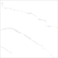 TP401