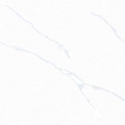 TP411
