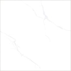 VTL484